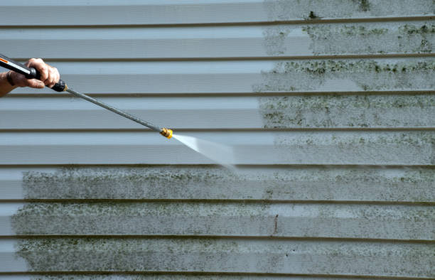 Best Driveway Cleaning and Restoration in Galveston, TX